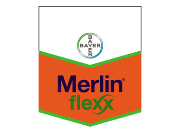 Merlin Flexx SC 480 herbisit mısır yabancı ot ilacı Bayer