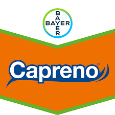 Capreno SC 547 herbisit mısır yabancı ot ilacı Bayer