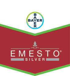 Emesto Silver FS 118 patates tohum ilacı Bayer