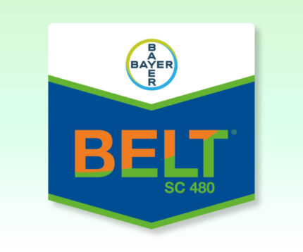 Belt SC 480 insektisit tırtıl ve yeşilkurt ilacı Bayer