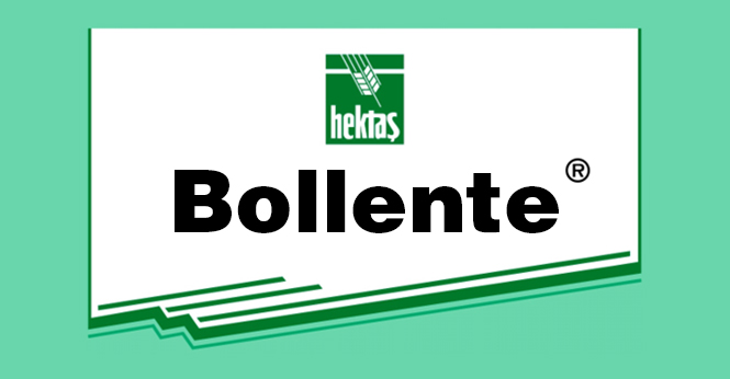 bollente-detay BOLLENTE - Görsel 1