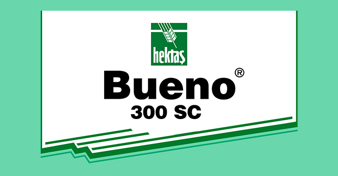 bueno-detay BUENO 300 SC - Görsel 1