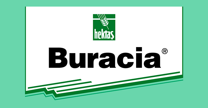 buracia-detay BURACIA - Görsel 1