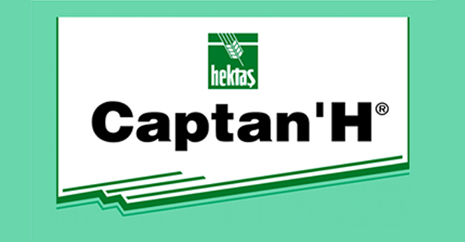 captan-h-detay CAPTAN’H - Görsel 1