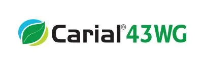 Carial 43 WG fungisit domates patates soğan mildiyö ilacı Syngenta