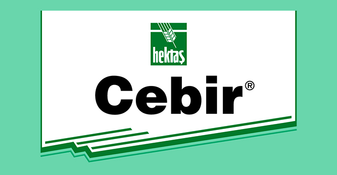cebir-detay CEBİR® - Görsel 1