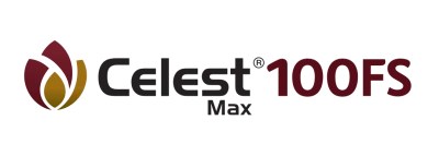 Celest Max 100 FS tohum ilacı patates siyah siğil fungisiti Syngenta