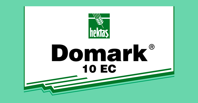 domark-detay DOMARK 10 EC - Görsel 1