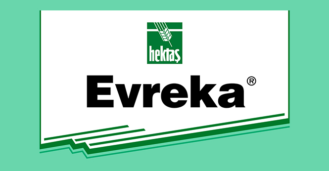 evreka-detay EVREKA - Görsel 1