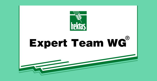 expert-team-wg-detay-1 EXPERT TEAM WG - Görsel 1