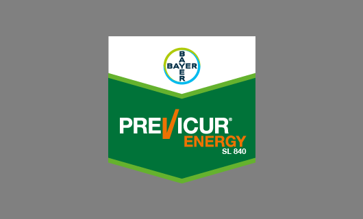 Previcur Energy SL 840 Fungisit Previcur Energy SL 840 kök çürüklüğü ilacı Bayer