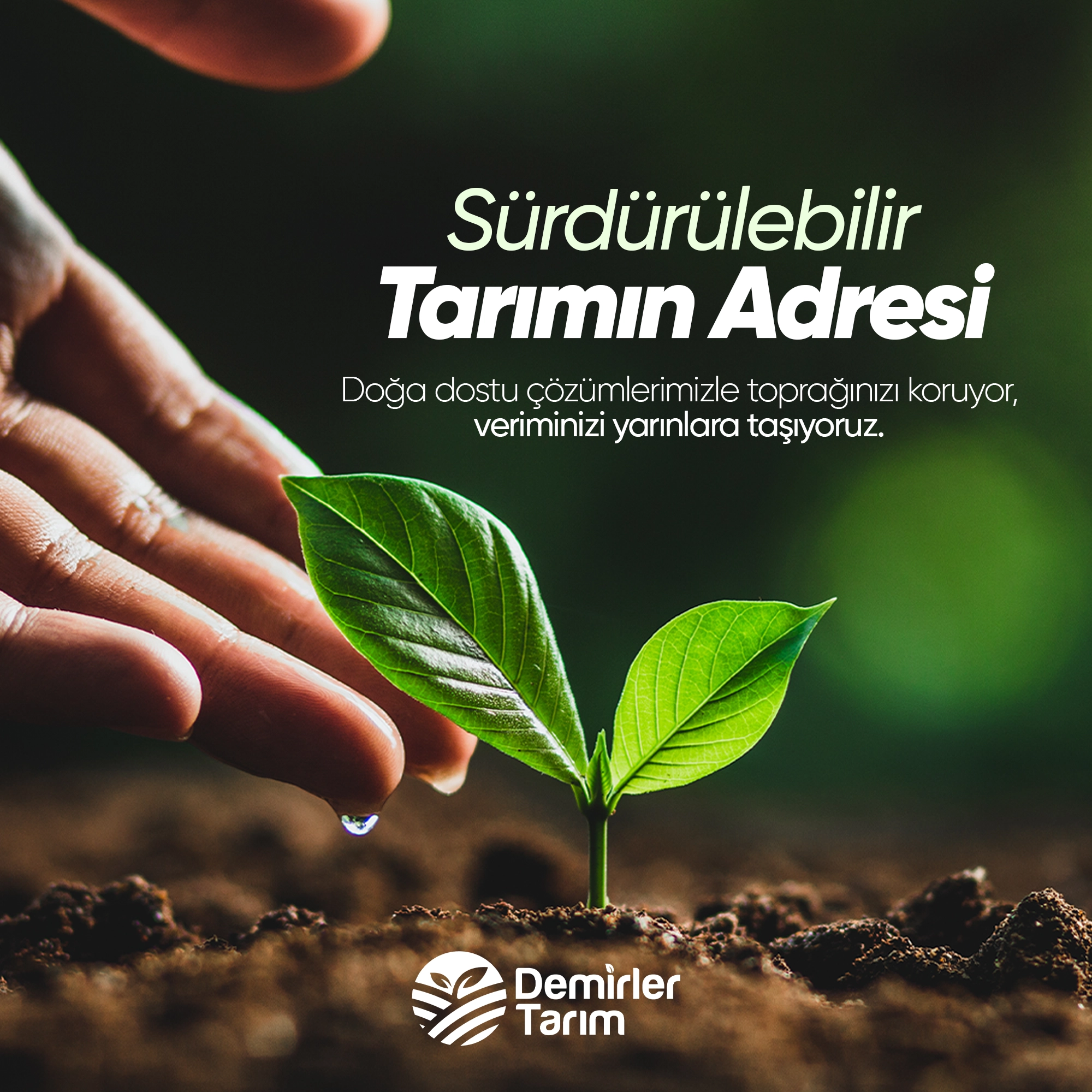 slider4_mobil